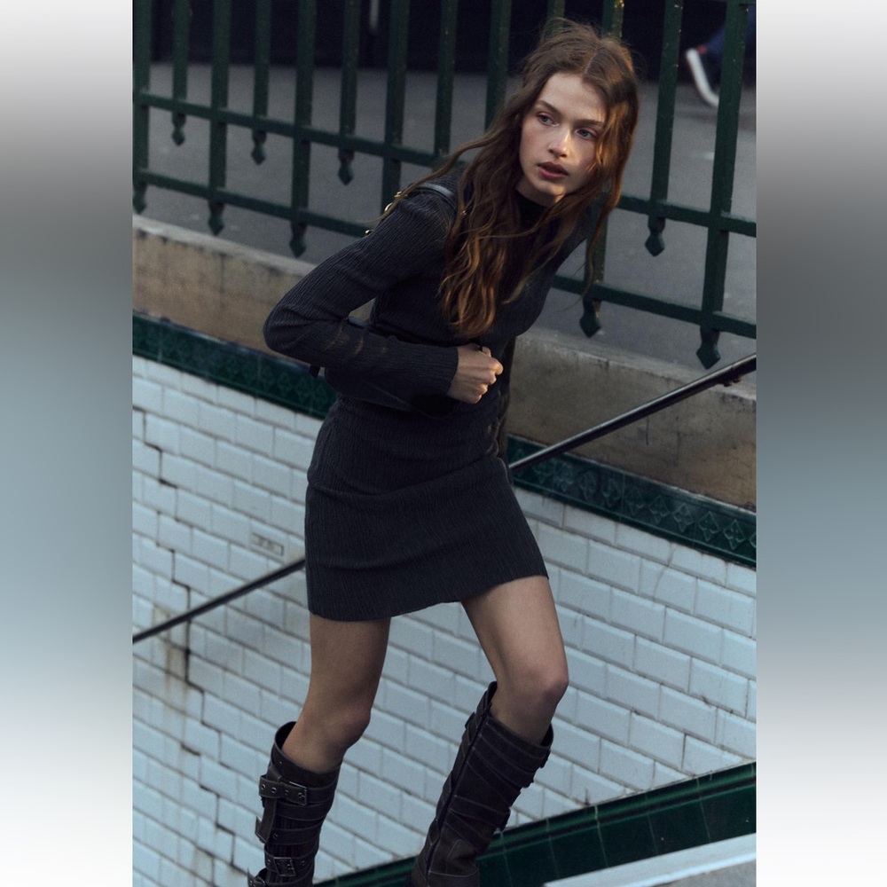 NWT Zara Textured Dress